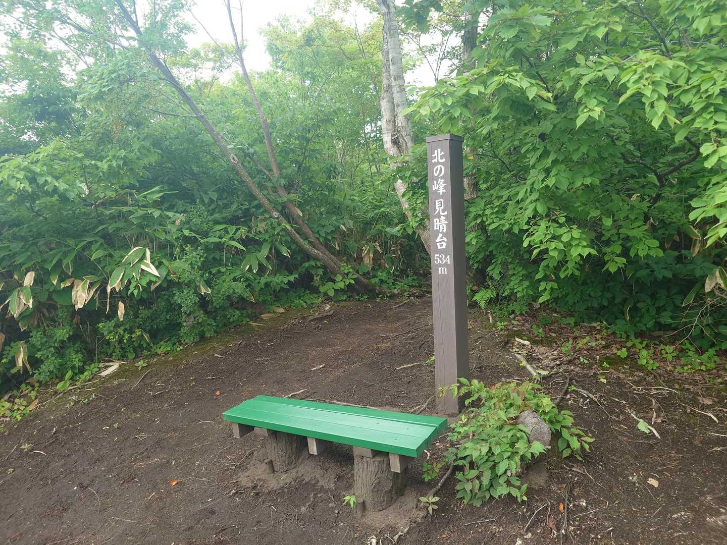大高根山 周回コースの写真