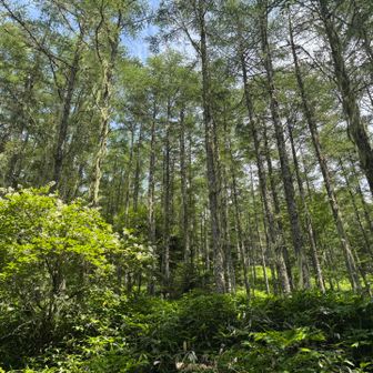 高座岩ってとこ行こうかと思ったけど通り過ぎちゃったみたい