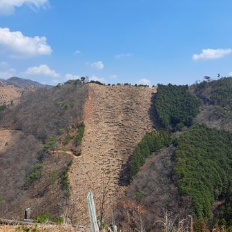 お昼を食べた伐採地