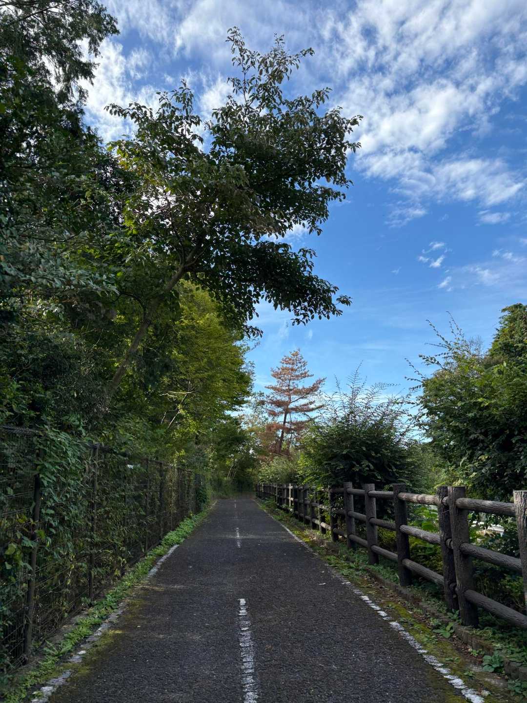 青空！！諦めないで出かけてよかった☀️