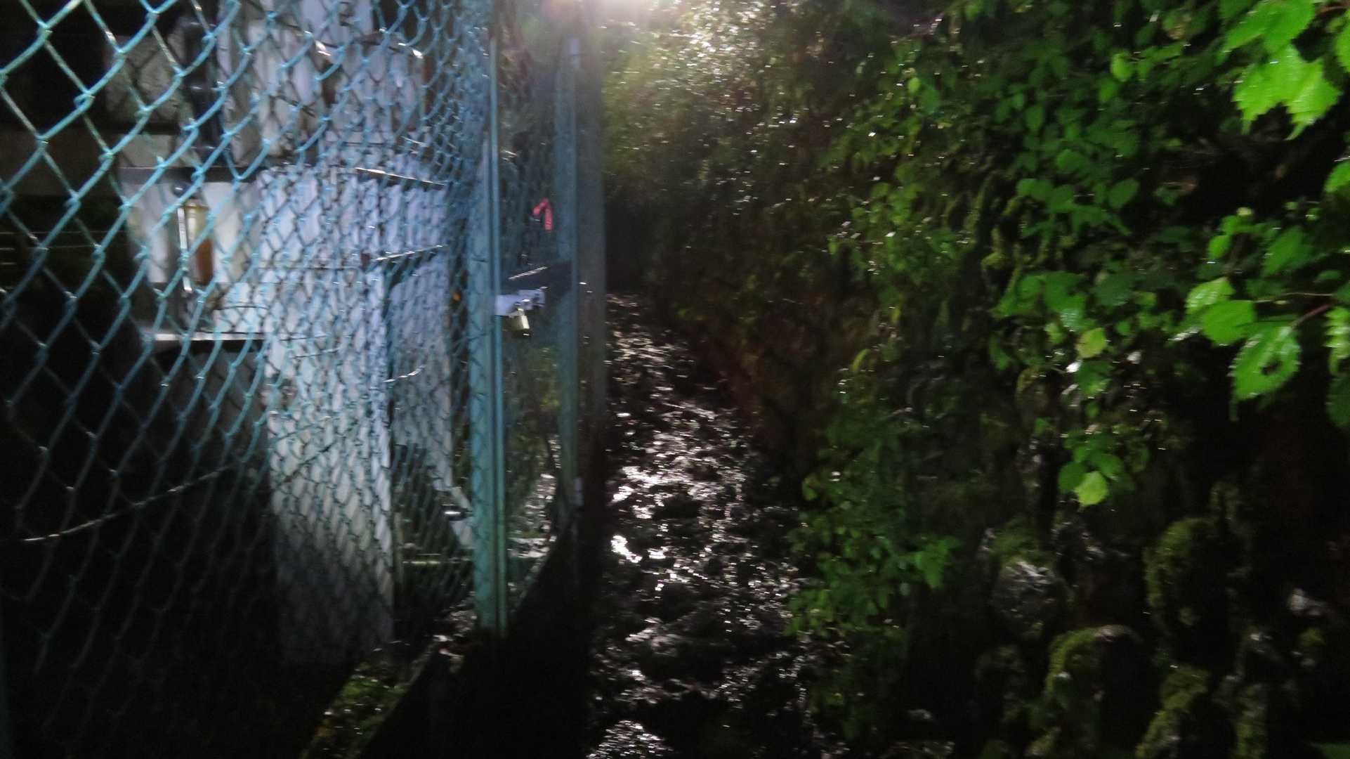 ここは雨の後、泥ぐちゃになる