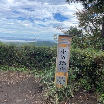 小仏城山の山頂で青天狗さんのワンちゃんたちに熱烈な歓迎受けました。
