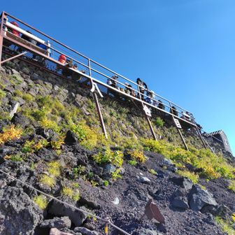 なんとか八合目。この頃、彼は高山病発症。降りるかと聞いたけど、登ると言うので続行。この辺りから休憩時間が長くなる。
ここに来るまでに散々ペース遅延を指摘され、なんとか巻き返そうとする私は、その割に休憩する彼にイライラし始める。（高山病だから休むのは当たり前だけど、だったら御来光の件をもう少し甘くみてほしいと思ってた）彼を思えばペースも上げれない。御来光のせいで取り返しのつかない事態になっているのを理解するも、なす術なし。彼に謝り倒すことも考えたが、富士山ですることって御来光見ること、くらいにしか思ってない私にとってはそれを見ずに登る選択肢はないなと思って、謝り倒すのはやめた。
しかしこの謝罪を丁寧にしなかったことで大砂走りでとんでもないことになるのである。