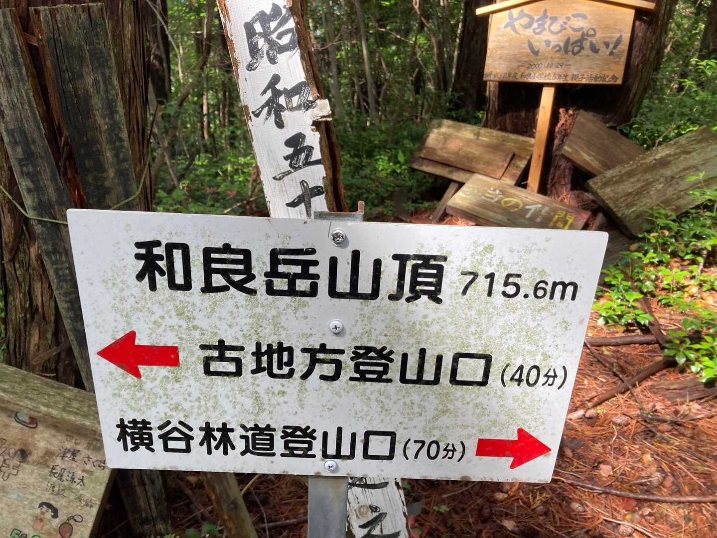 和良岳 往復コースの写真