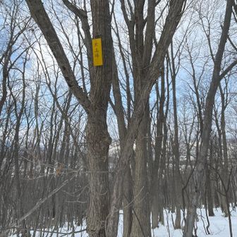 夏は眺望皆無でしょうね😂