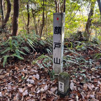 藪漕ぎして顔戸山きた😀
