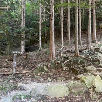 7時に登山開始。