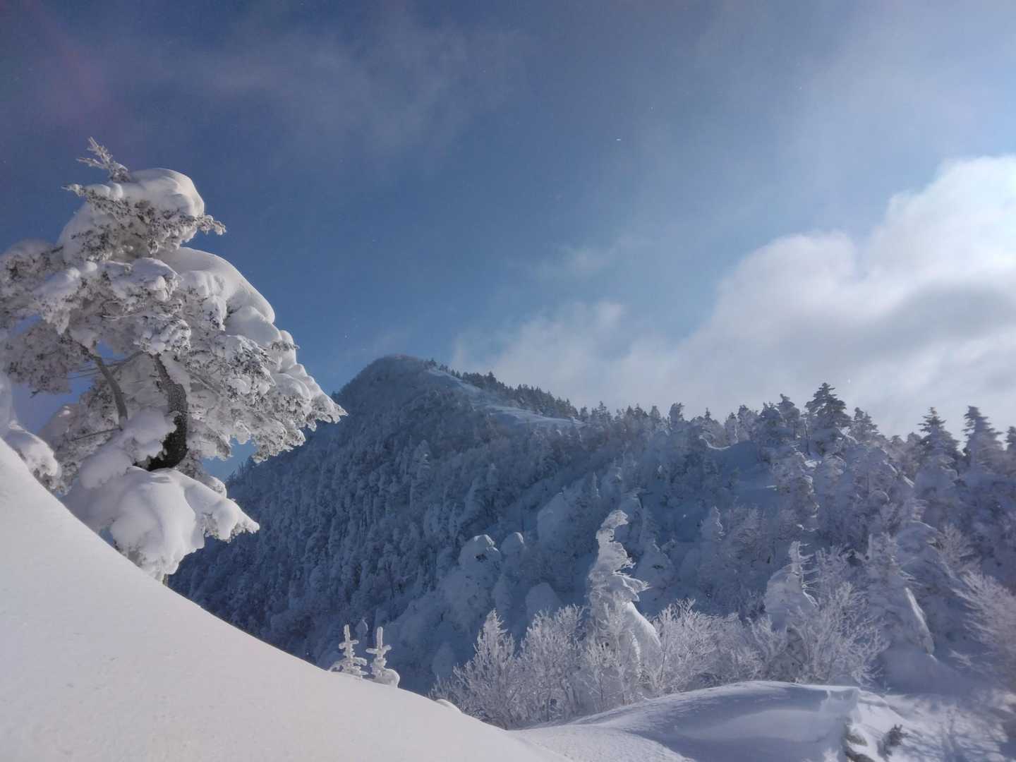 四阿山山頂を捉えました。