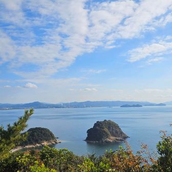 Viewポイントはたま～に。