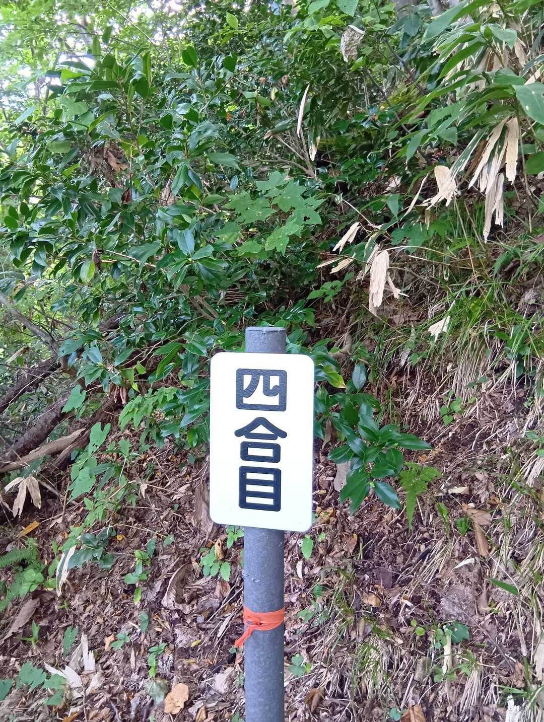 経ヶ蔵山 往復コースの写真
