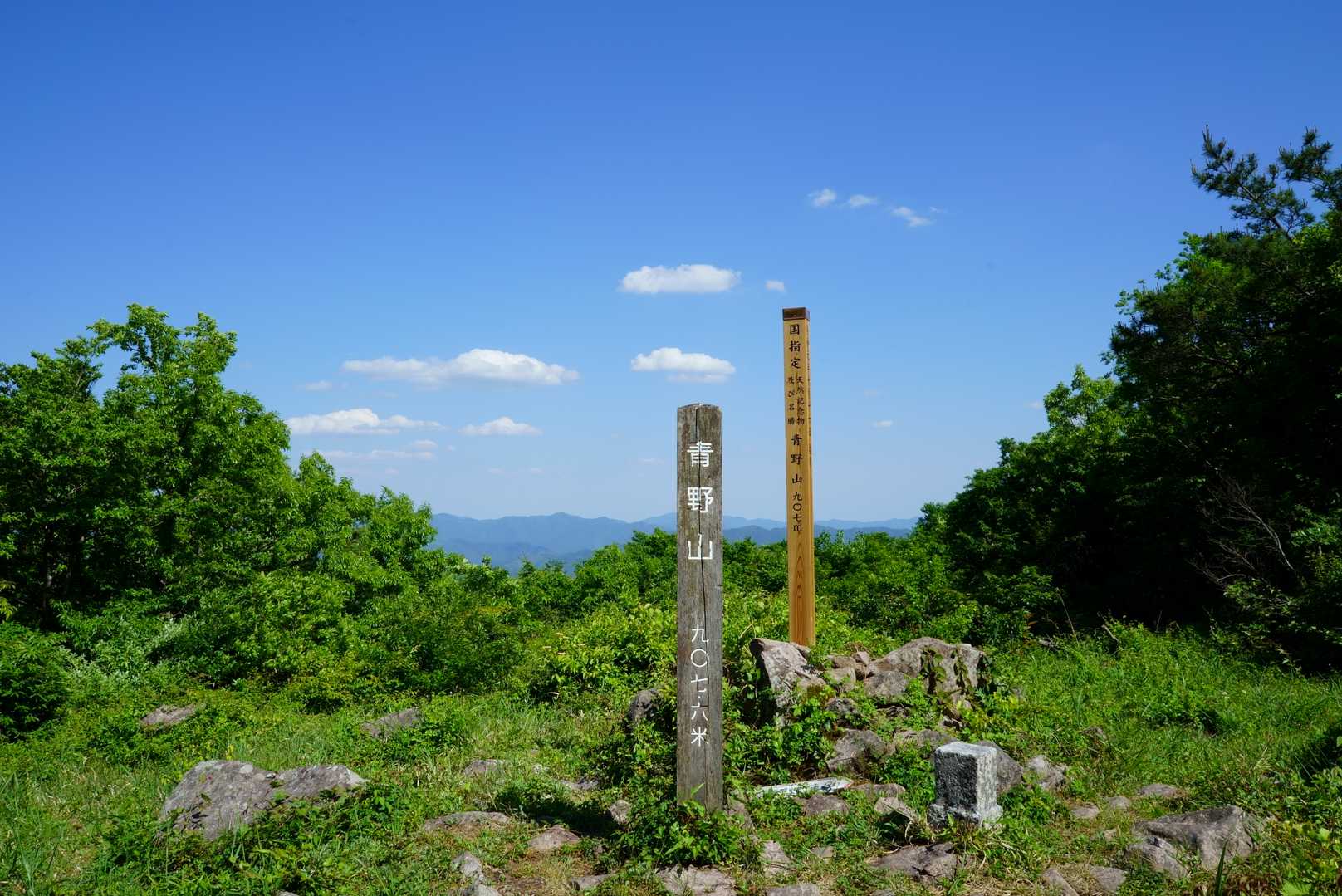 青野山山頂に到着しました✨