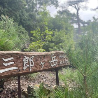 三郎ヶ岳に到着
あとは下るだけ↘️