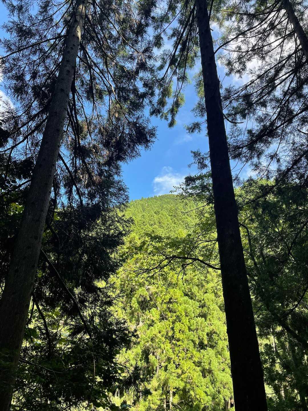 青空が広がってとてもいいお天気✨