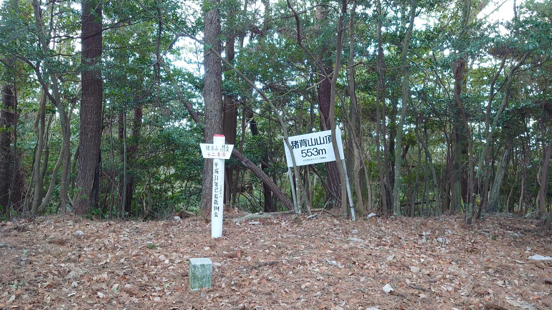 無事に猪背山山頂に登頂。
少し風があって寒い。そうそうに撤収。