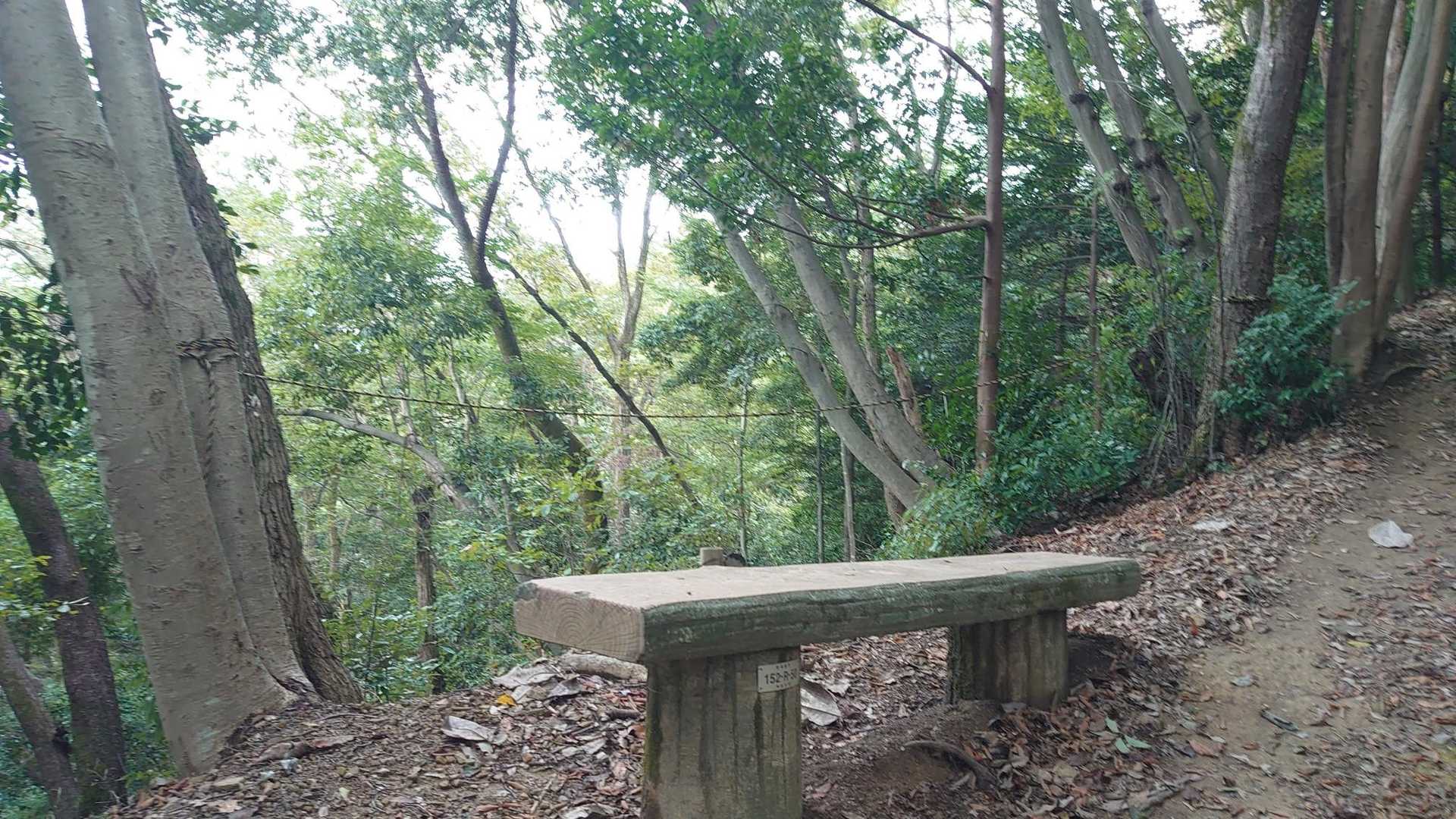 このコースはちょいちょいベンチがあります