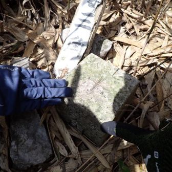 藪中に三角点▲見つけ・👍