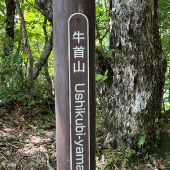 ３つ目のピーク
看板は無し💦