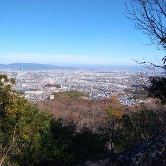 冬は葉が落ちて景色が良く見えますね