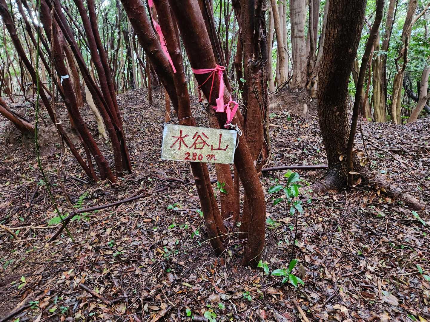 太華山-牧ヶ岳-水谷山 往復コースの写真