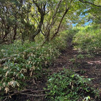 数年前、孫岳に向かおうとして、この坂とロープにビビって撤退した。
あれから少しは経験を積んだので、今回は無事クリア😊