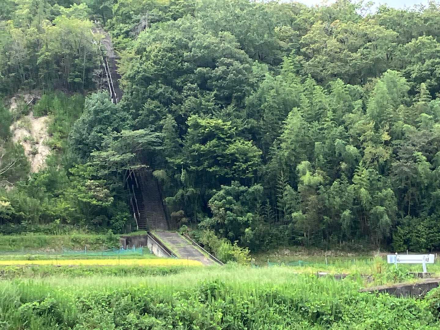 道場駅-百丈岩 往復コースの写真