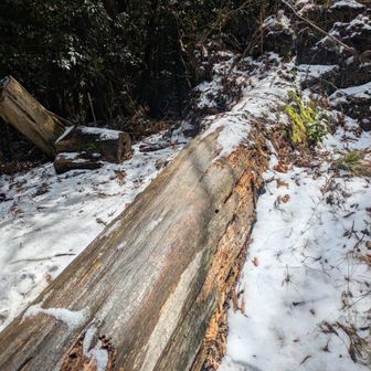 雪がたくさん
寒いのでお弁当はお預けにして下山します