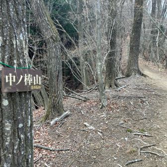 中の棒山　山頂