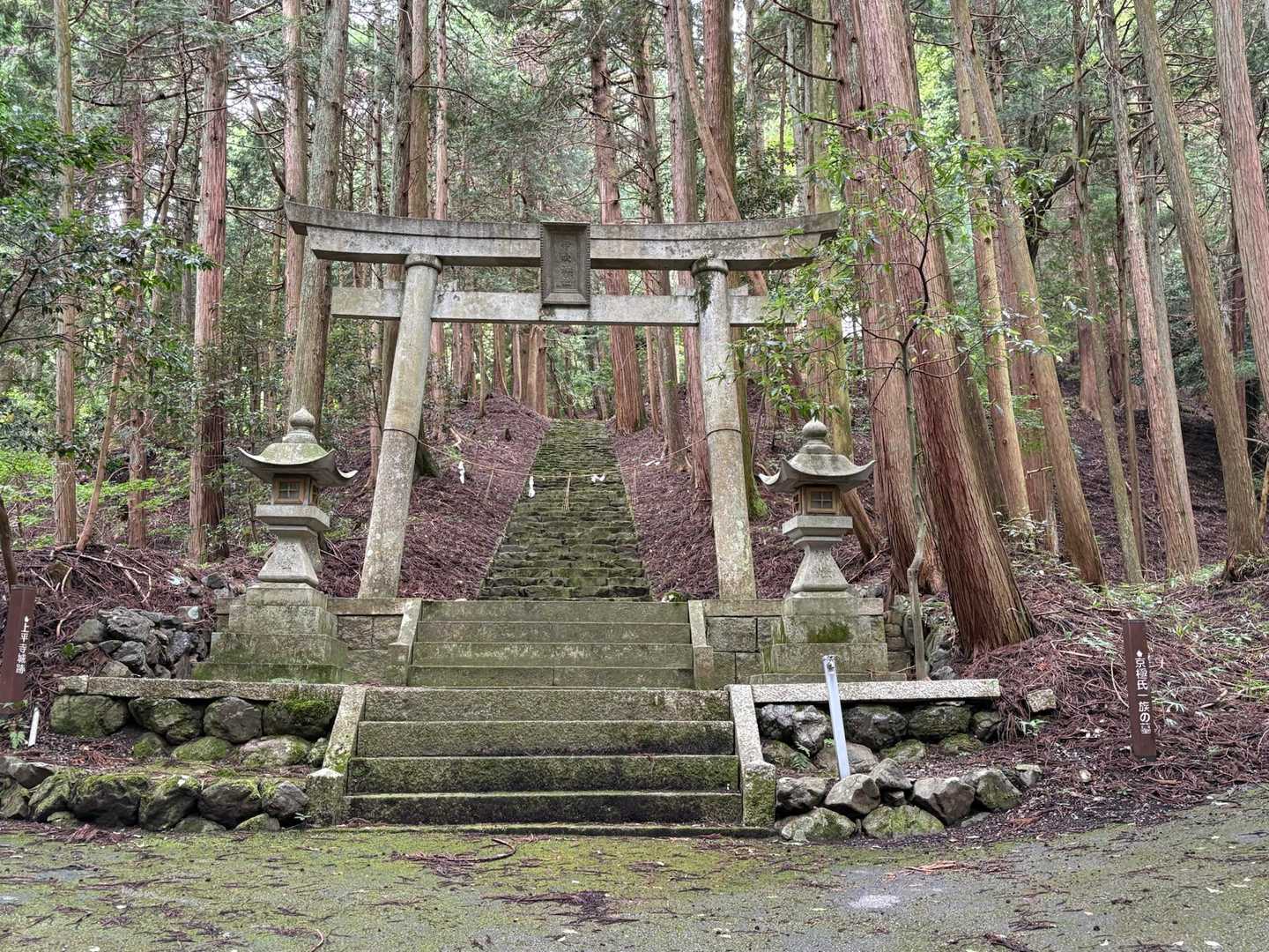 左側から⤴︎