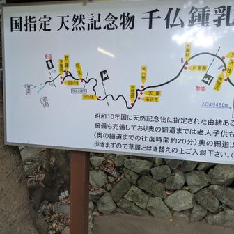 洞窟から流れ出した沢をバタバタ探る。竿は持たない。
洞窟で竿出したろうかと思ったけど、手持ちの金も時間も無し。針と糸とか、あらぬ誤解を与えてしまうのは怖い。何より一発感が過ぎる。誰得しない。