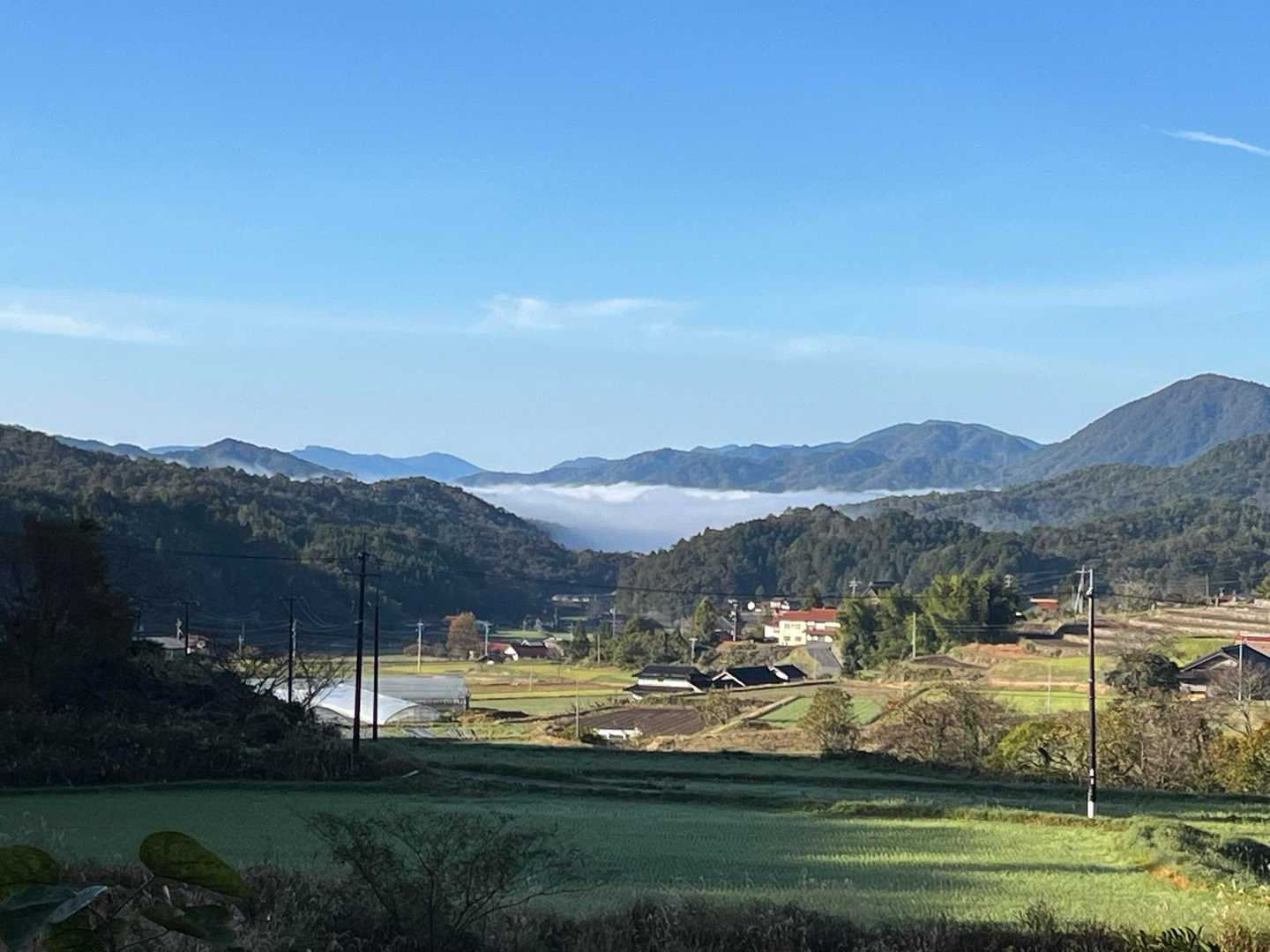 広島県北部は霧が出やすくこんな感じの雲海もよく見ることが出来ます！
