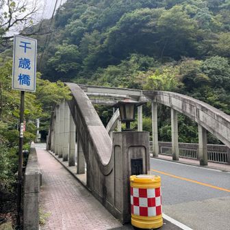 駅伝でよく見る