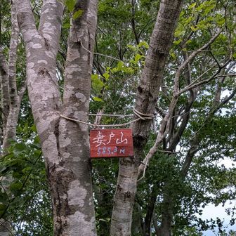 妻戸山👍🏻山頂も狭いし眺望もありません