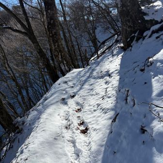 犬越路が近くなってきた