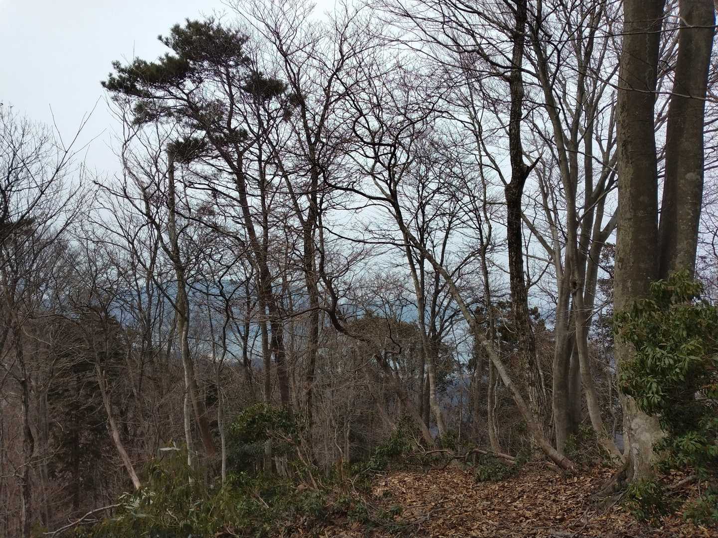 飯盛山 往復コースの写真
