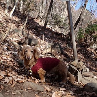 ♡をバックに！nanacoは今年も観られて嬉しそう！