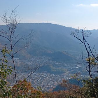 此れも山科かな