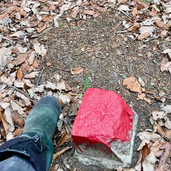 アプリが示す仏頂山はこの辺りだ