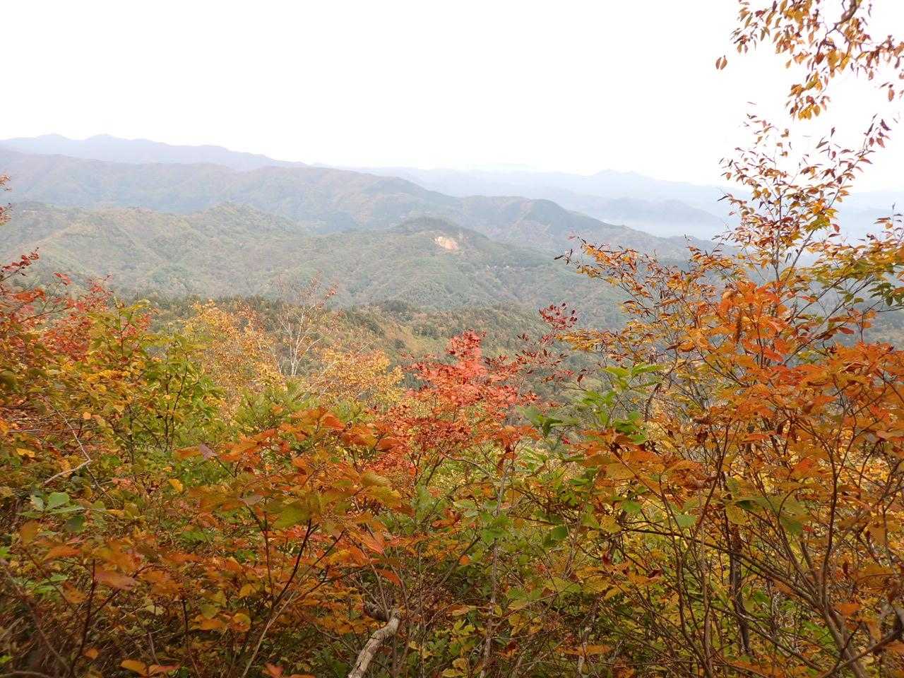 黒森山 周回コースの写真