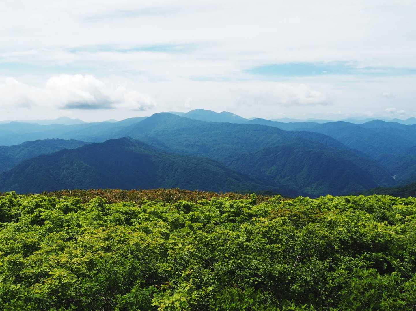 岐阜側には能郷白山。
銀杏峰は両白山地の絶好の展望地ですね。