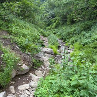 涸沢の長い下り､､､