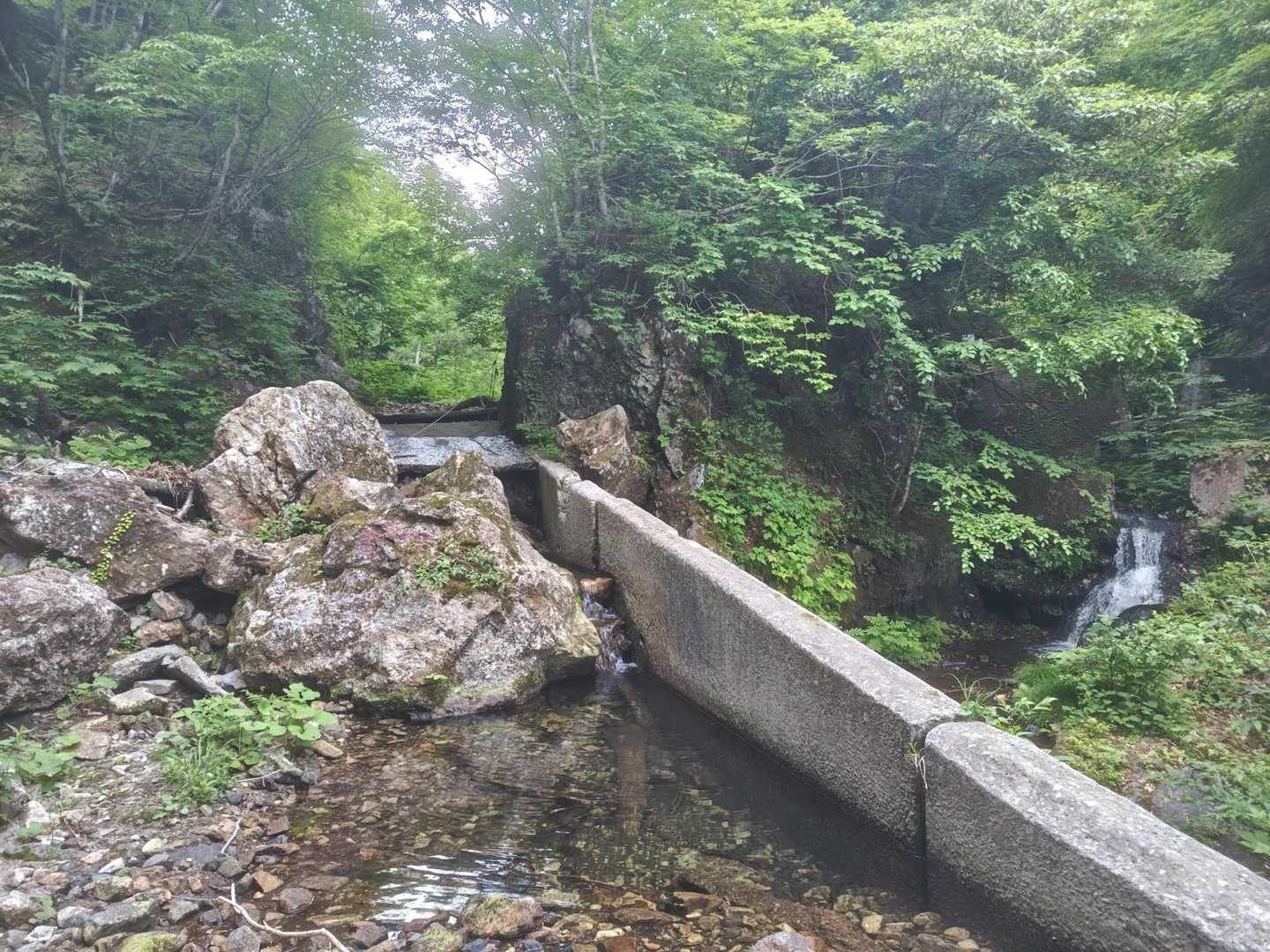 最初は川沿いを歩きます。投稿で良く見るところ。
