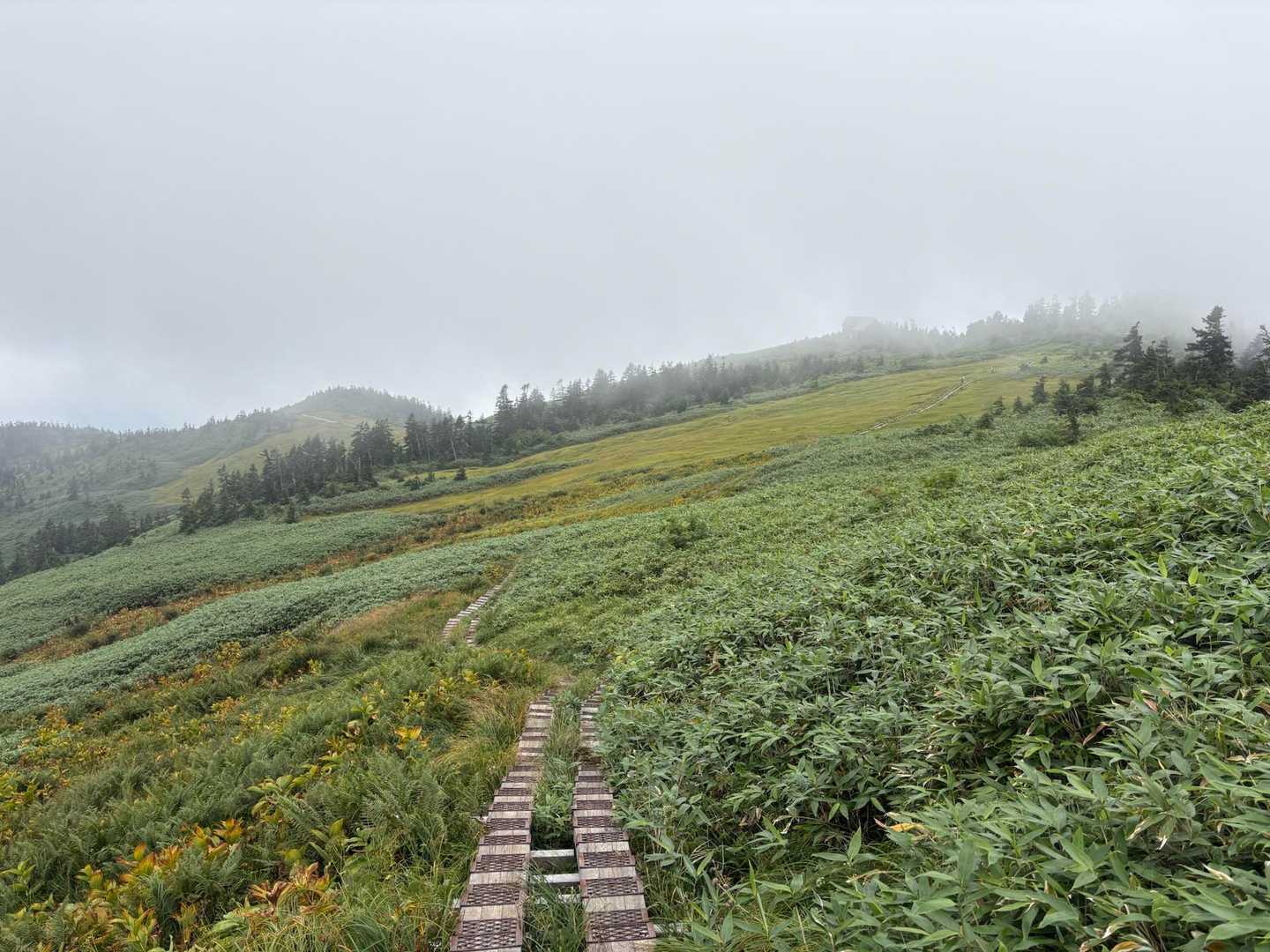 滝沢登山口-駒ノ大池-会津駒ヶ岳 往復コースの写真