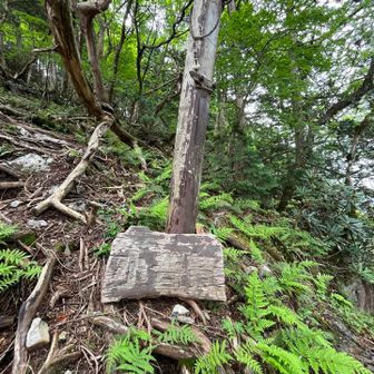 ここを左に登ると小普賢岳…
寄らずに右側を降りていきます。