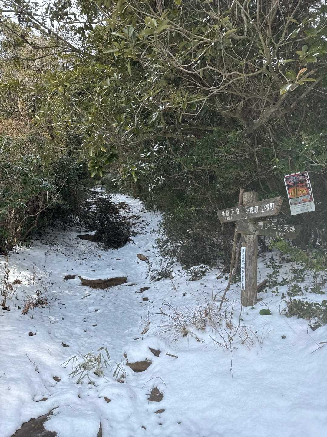 烏帽子岳 往復コースの写真