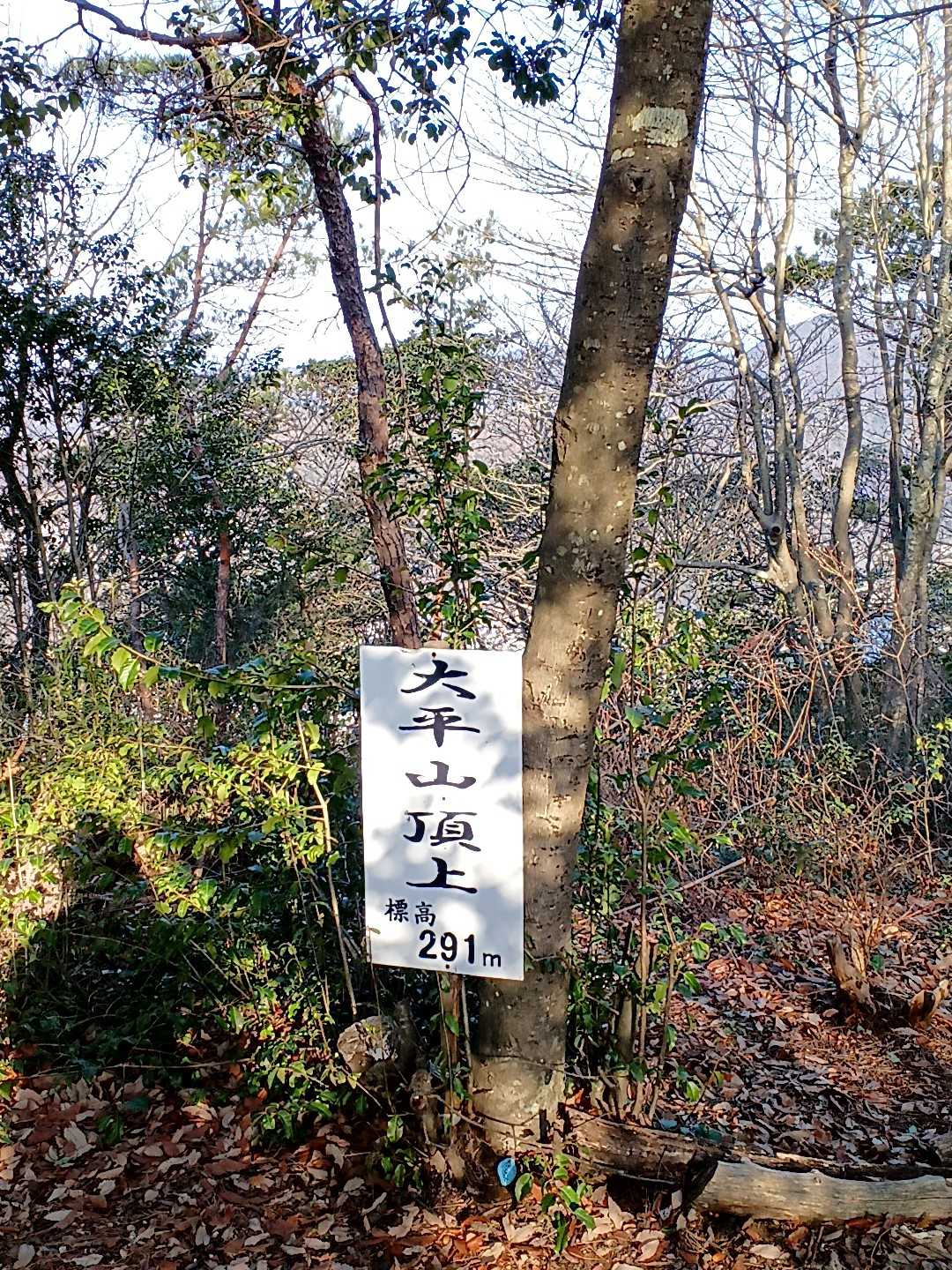 あっという間に山頂❗
景色は、まぁこんなもんでしょ