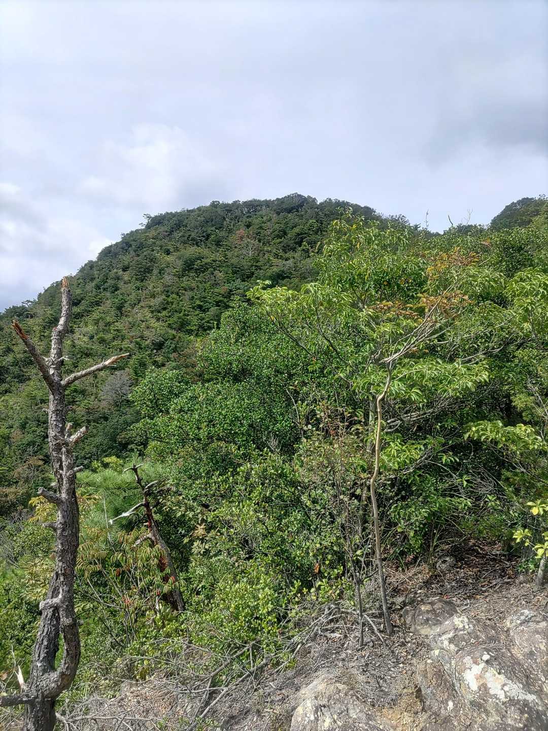 下山途中に見る袴腰山
こちら側から見た袴腰山はやさしい感じです