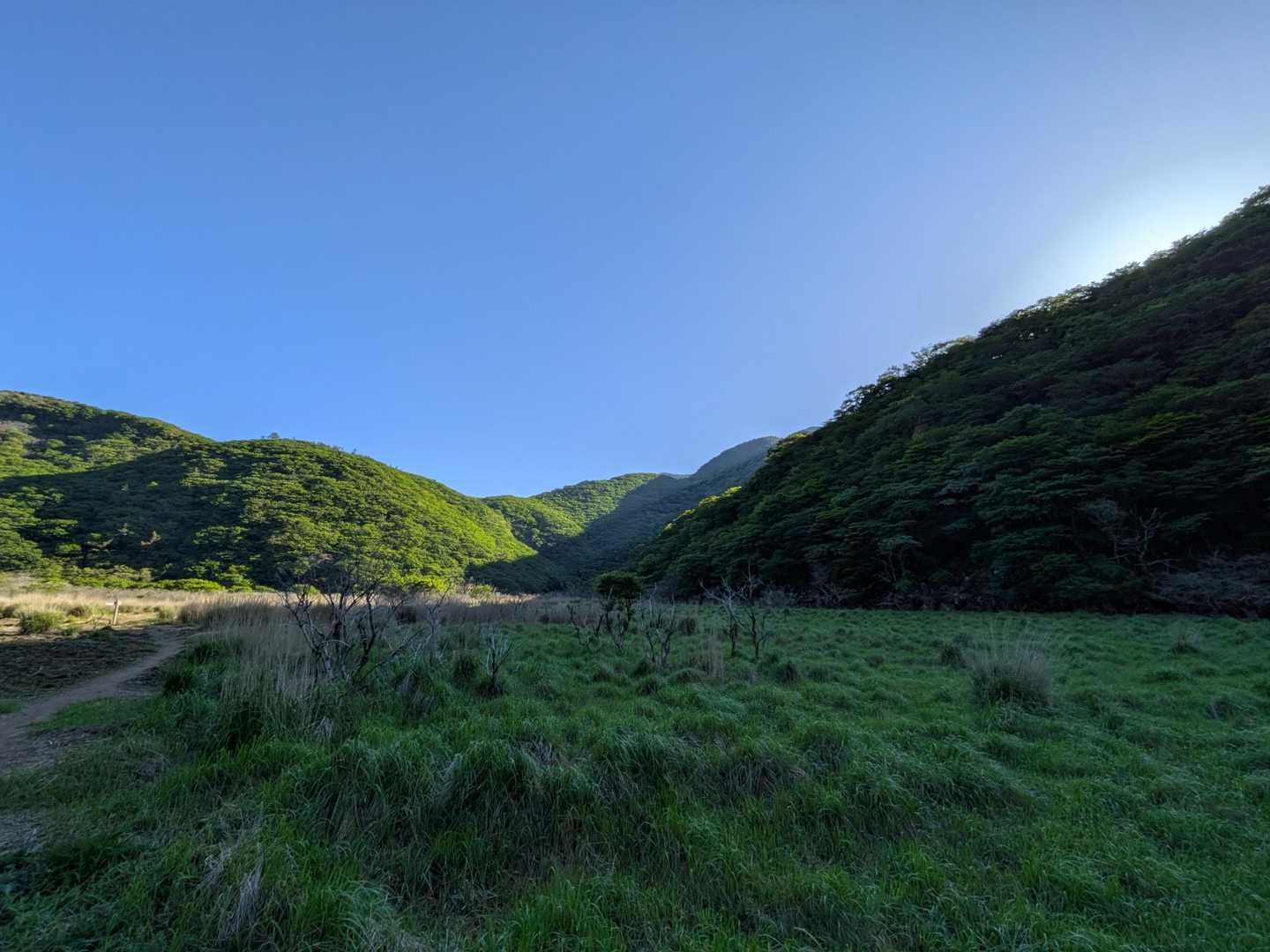 ３６０度の新緑🌿
開放感たるや😊