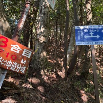 やっと3合目