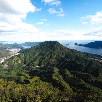 象の背から見た景色。