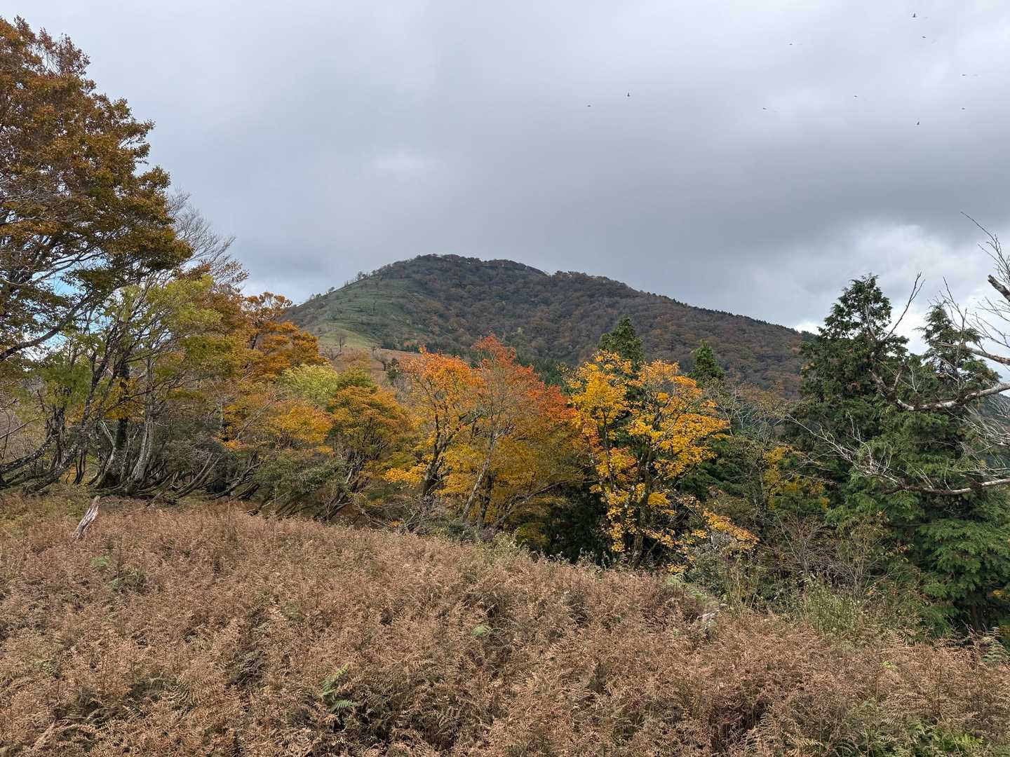 2年前に登った時はガスガスで何も見えなかったので今回も山頂はガスガスだろうと諦め始める